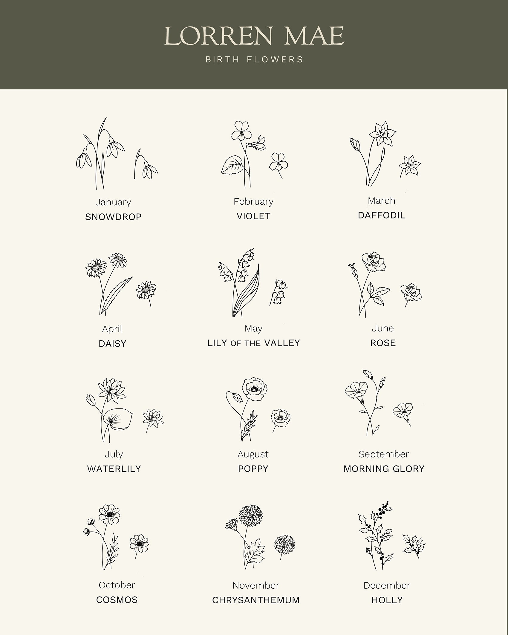 a collection of twelve different types of flowers, each with its own unique illustration, arranged in a grid format. The flowers include snowdrops, violets, daffodils, daisies, lilies, roses, daisies, lilies of the valley, roses, waterlilies, poppies, morning glory, and cosmos. The flowers are depicted in a simple, minimalist style, with each one showcasing its own distinct characteristics and beauty.