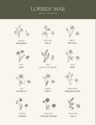 a collection of twelve different types of flowers, each with its own unique illustration, arranged in a grid format. The flowers include snowdrops, violets, daffodils, daisies, lilies, roses, daisies, lilies of the valley, roses, waterlilies, poppies, morning glory, and cosmos. The flowers are depicted in a simple, minimalist style, with each one showcasing its own distinct characteristics and beauty.