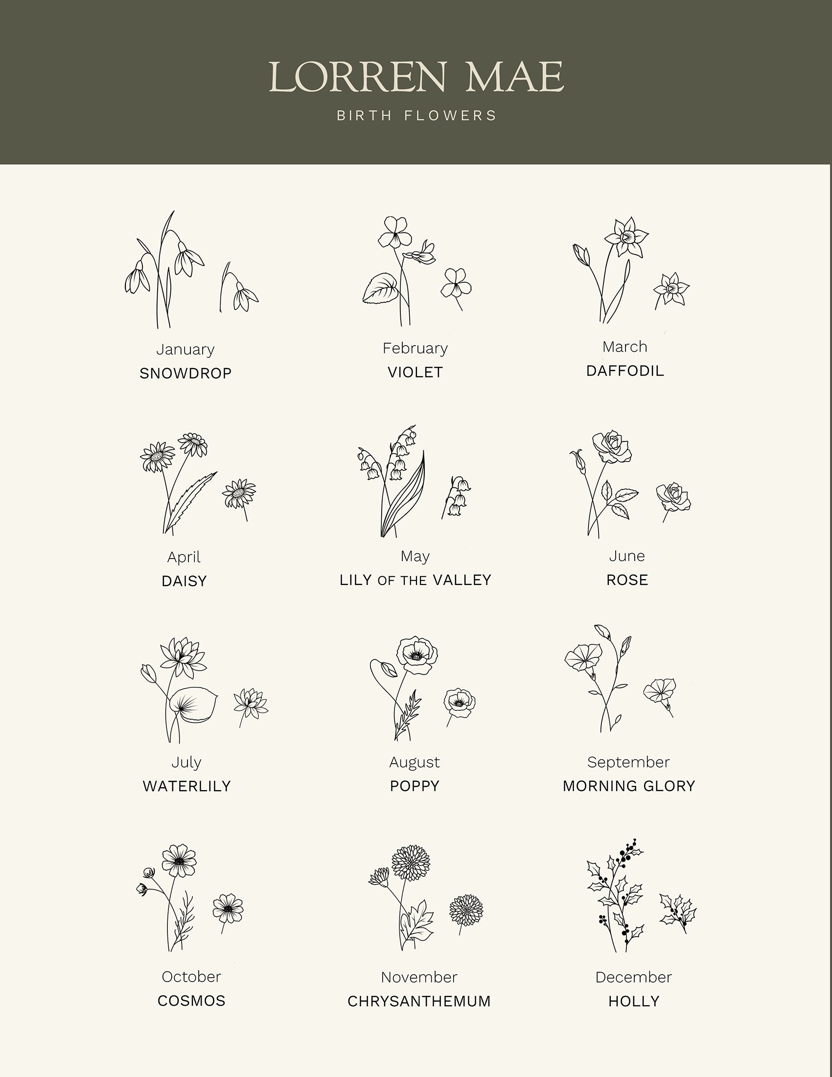 a collection of twelve different types of flowers, each with its own unique illustration, arranged in a grid format. The flowers include snowdrops, violets, daffodils, daisies, lilies, roses, daisies, lilies of the valley, roses, waterlilies, poppies, morning glory, and cosmos. The flowers are depicted in a simple, minimalist style, with each one showcasing its own distinct characteristics and beauty.